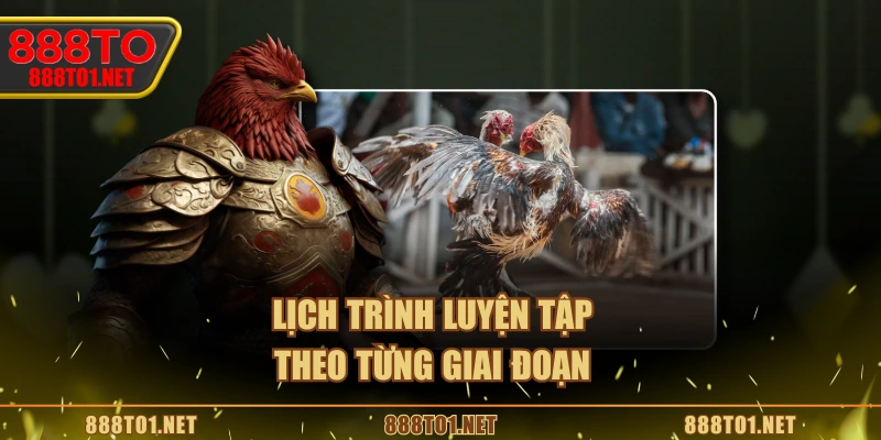 Lịch trình luyện tập theo từng giai đoạn