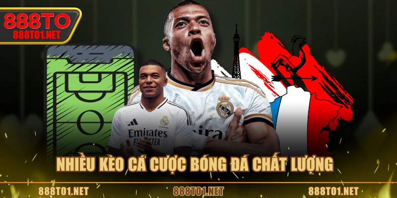 Nhiều kèo cá cược bóng đá chất lượng