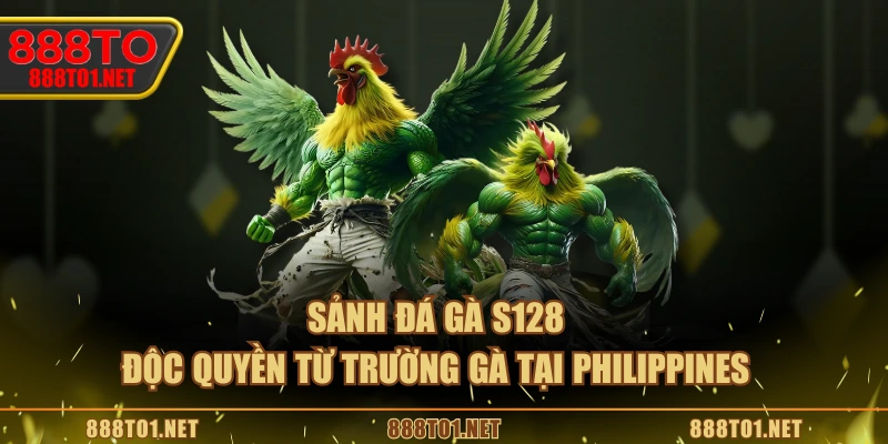 Sảnh Đá Gà S128 độc quyền từ trường gà tại Philippines